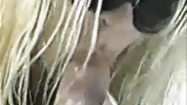 Haily Junge liebt anal - rasierte alte weiber brazzers